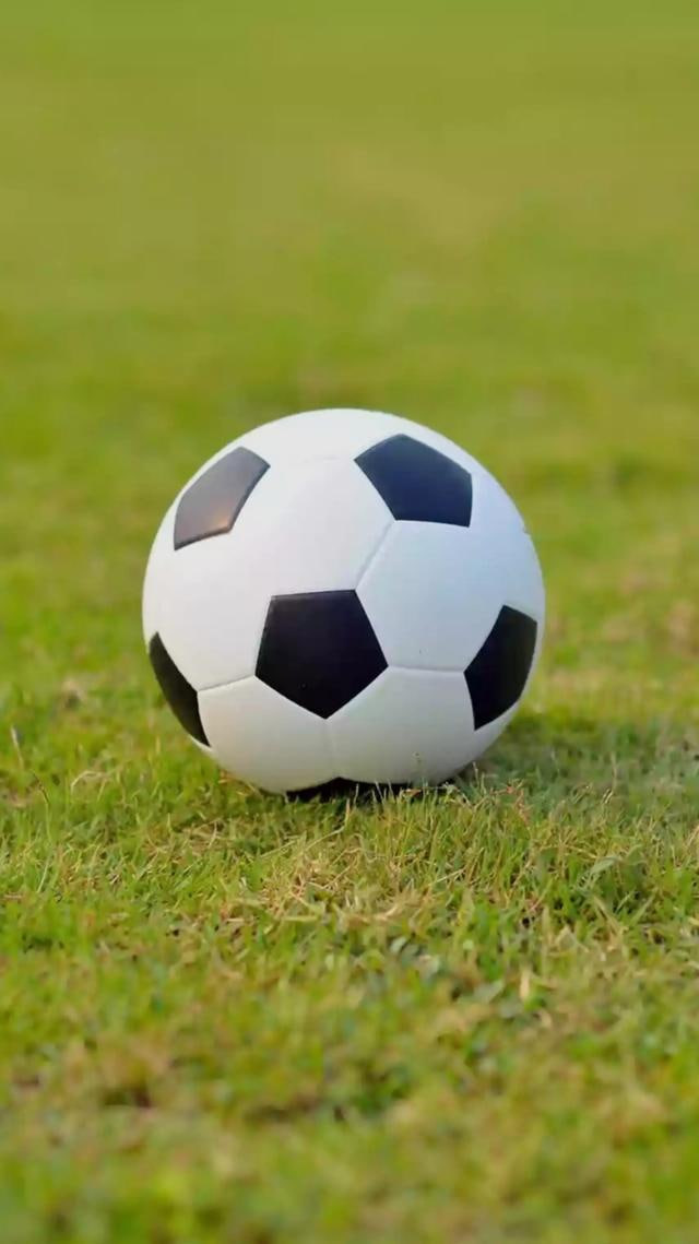 专业分析师工作平台