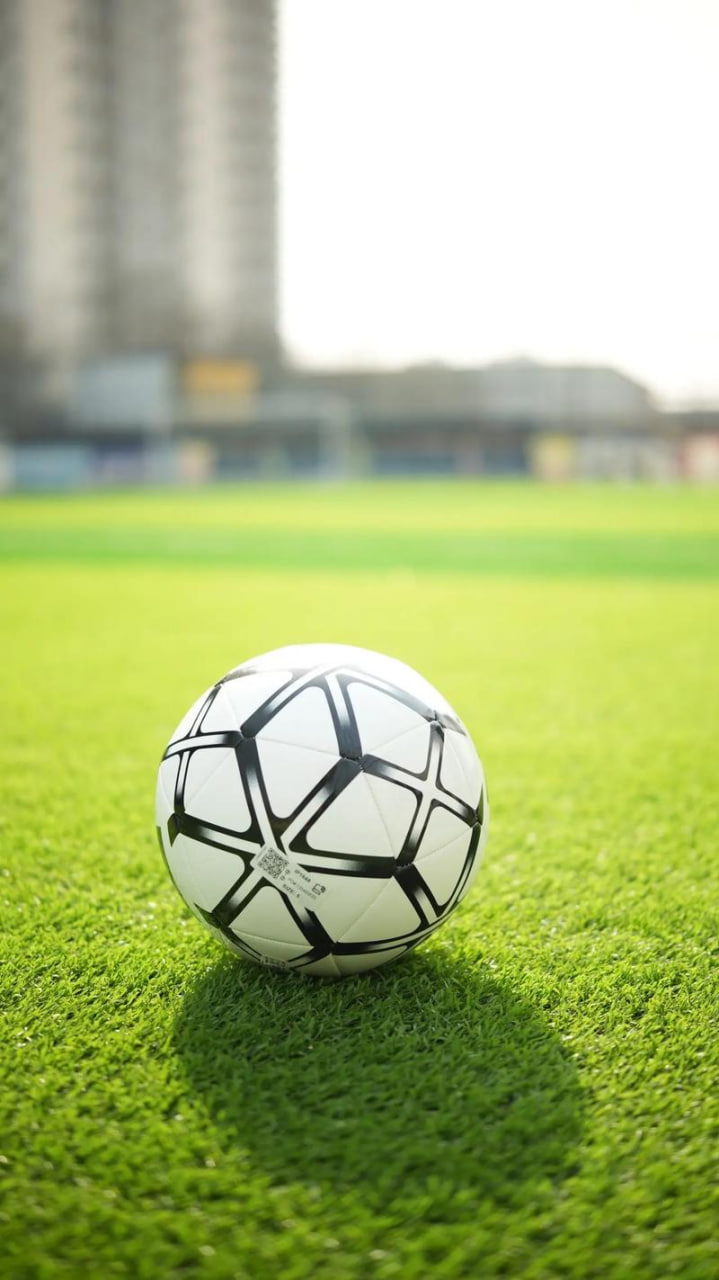 社区交流互动场景